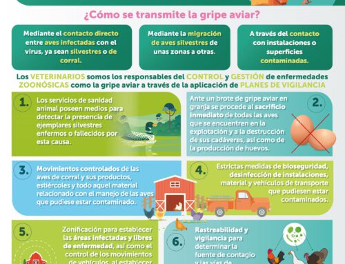 Infografía GRIPE AVIAR